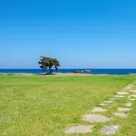 Horizon Line فيلة